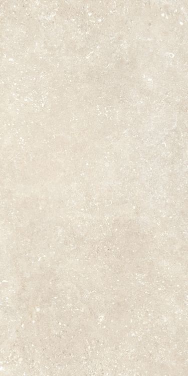 Untamed Wander Warm 12 x 24